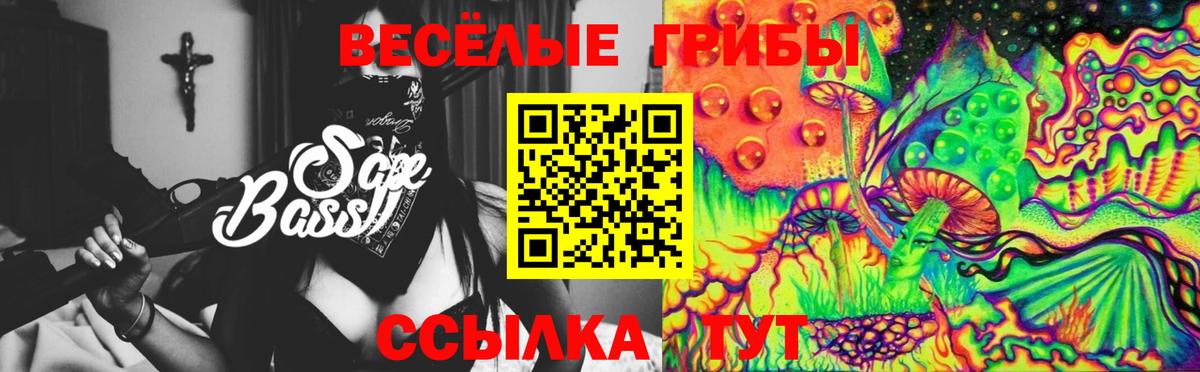 Сланцы  даркнет сайт  Вход с VPN  Галлюциногенные грибы прущие грибы 